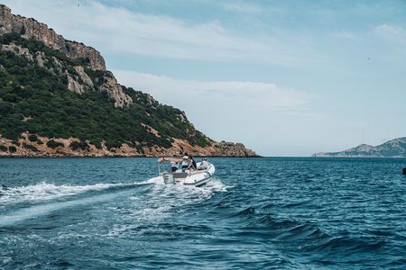 Golfo Aranci Dolphin Watching Tour at Sunset with Biologist