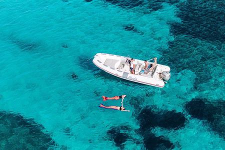 Golfo Aranci Dolphin Watching Tour with Biologist and 2 bath stops