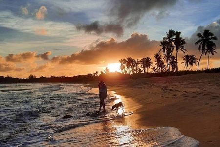 Horseback Riding Tour in Punta Cana