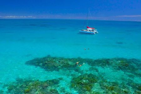 Cairns Full-Day Great Barrier Reef Snorkelling Tour