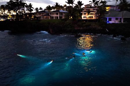 Turtle Town After Dark: Snorkel With Lights & stars