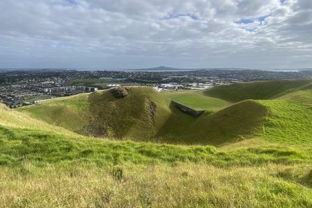 Shore Excursion: Half-Day Auckland Volcanoes Tour