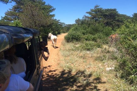 Brač Off Road Tour Hidden Villages Views and Local Stories