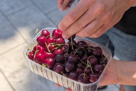 Zadar City Market Food Tour 2026 – A Taste of Local Life