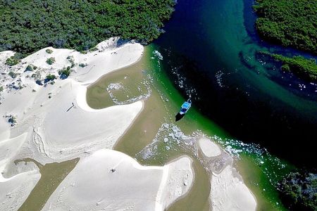 Walk between Dunes and Mangroves of Bahia Magdalena