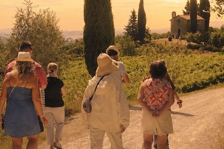 Siena : Chianti Sunset Tour with Tasting and Dinner
