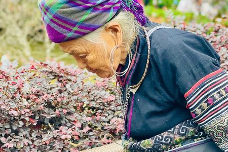 Hanoi to Sapa Three Day Private Tour