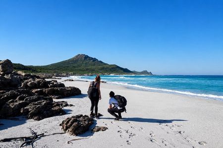 Hiking Cape of Good Hope & Cape Point Private Full Day Tour