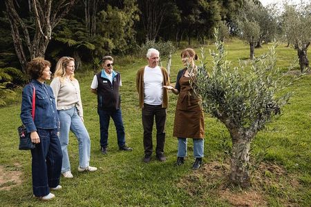 Waiheke Island Gourmet Food and Wine Tour with Oysters