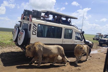 3 days Masai Mara Kenya Safari Private Safari