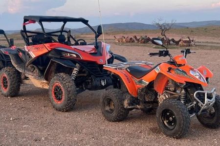Marrakech: Agafay Desert Buggy Ride, Camel Trek & Lunch