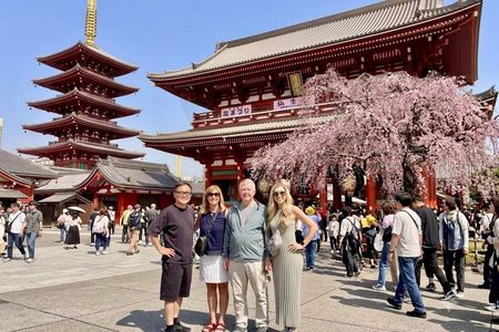 Tokyo Private Half-Day Highlights Tour by Car with Guide