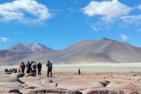 Full Day Tour to Piedras Rojas, Altiplanic Lagoons and Chaxa