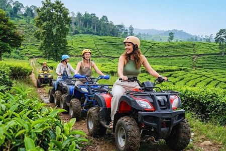 From Jakarta ATV Adventure, Hot Springs and Tea Trails