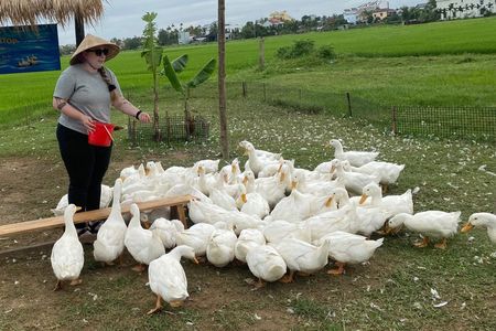 Ducks Farm Massage and Coconut Boat Private Cycle Tour