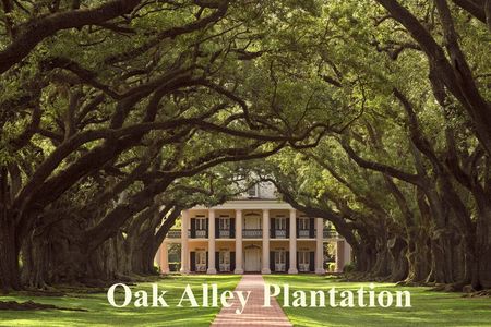 Oak Alley or St. Joseph Plantation with Shuttle From New Orleans