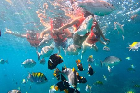 Los Arcos 5 Islands Snorkeling 3 Sea Caves and 6 Beach Adventure