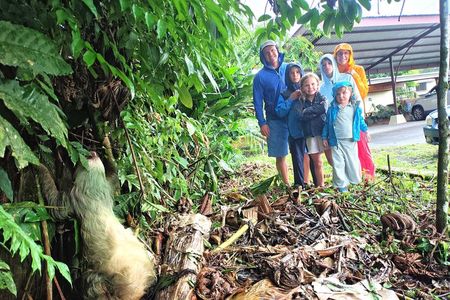 La Fortuna Combo Sloth Watching and Night Walk Adventure