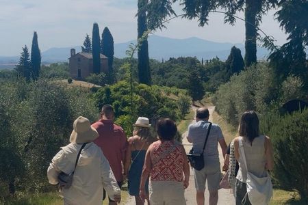 Siena: Chianti Wine Tour with Wine Tasting and Lunch