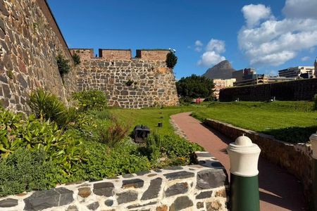 Cape Town City Bowl Highlights and Cultural Experiences Day Tour