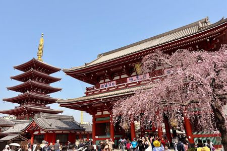 Tokyo Private Half-Day Highlights Tour by Car with Guide