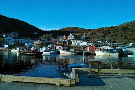 Newfoundland A Cooastal Journey Private Tour 3 / vehicle 6 Hrs