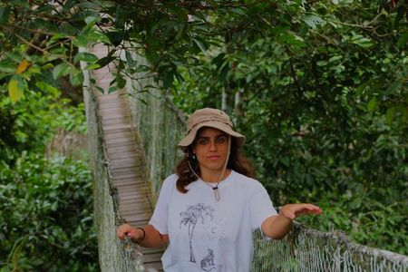 search for sloths with suspension bridge in the jungle and viewpoint