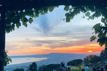Pompeii and Emotions on Mount Vesuvius: Guided Tour from Naples by Bus