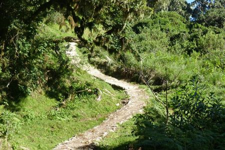 4 Days Mount Meru Guided Trekking Tour