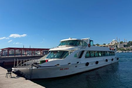 Istanbul Islands Swimming Tour with Lunch and Boat Cruise