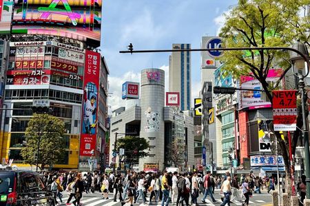 Tokyo Private Tour for First-Time Visitors by Luxury Car