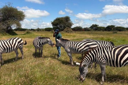 Serval Wildlife and Chemka Hot Springs Getaway from Zanzibar