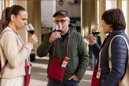 Discover Turin between hidden corners and local wine
