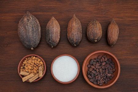 Traditional Oaxacan Chocolate Class