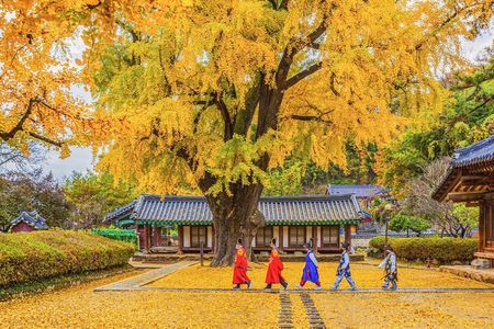 Jeonju Hanok Village Full-Day Tour: Jangtaesan Green Forest