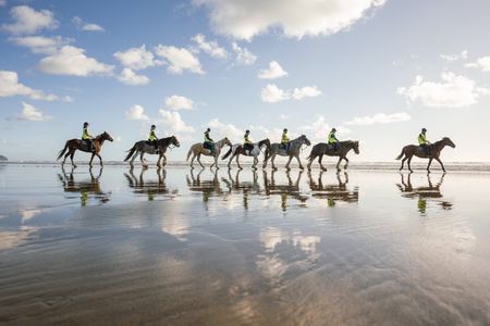 2-Hour Muriwai Beach Horse Riding Experience