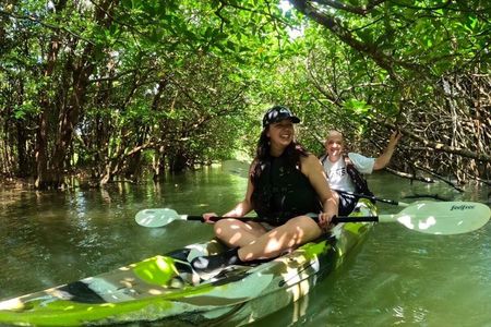 Ishigaki Mangrove SUP or Canoe + Blue Cave Snorkeling