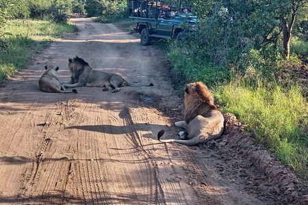 2 nights Private Kruger Park Safari and Panorama Route