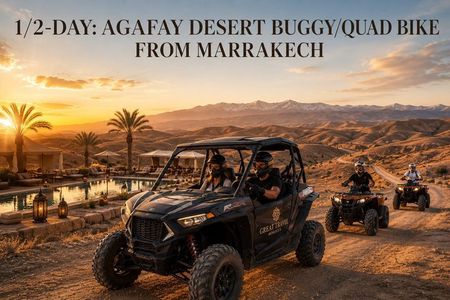 1/2-Day: Agafay Desert Buggy/Quad Bike From Marrakech