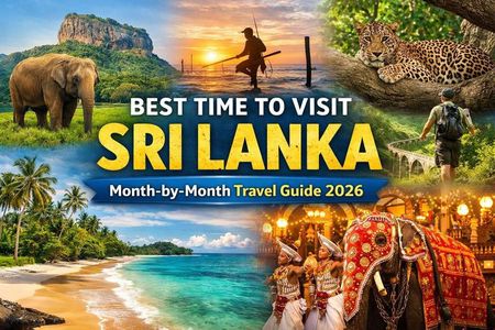 Bespoke Sri Lanka: Private Multi-Day Tour & Tailor-made Itinerary