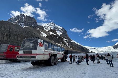 Along Icefields Parkway: Peyto Lake, Bow Lake & Columbia Icefield