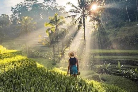 Ubud Highlights: Rice Terraces, Temple & Waterfall – Private Tour