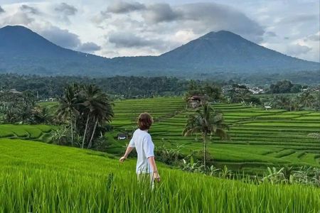 Bali Private Tour: Jatiluwih Rice Terraces, Monkey Forest & Swing