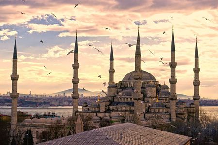 Istanbul Highlight Tour with Bosphorus Cruise and Lunch
