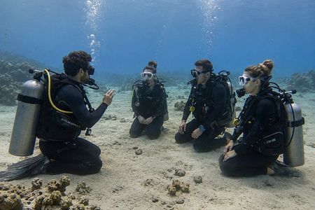 PADI Open Water Diver Course in Curacao Small Groups