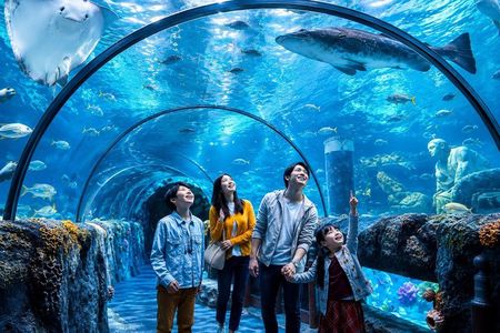 Istanbul Aquarium Admission with Hotel Transfers