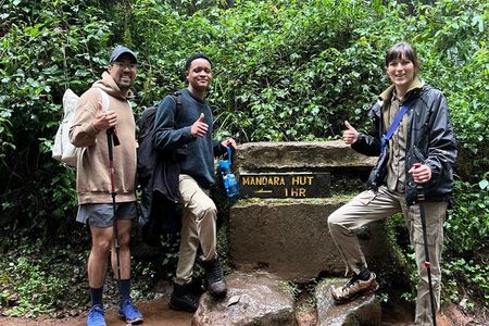 Kilimanjaro 1 Day trip
