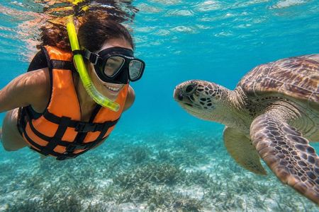 Swim with sea turtles & discover hidden cenotes like a local