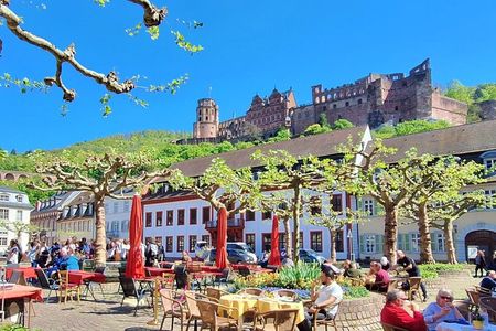 Unpacked tour with city, castle, philosopher's path & royal chair