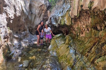 Explore Las Salinas, Mezcal and Tule Tree Factory